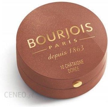 Bourjois Pastel Joues Róż 10 Chataigne Doree 2